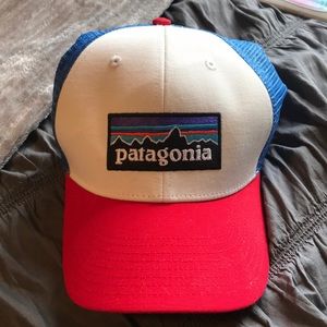 patriotic patagonia